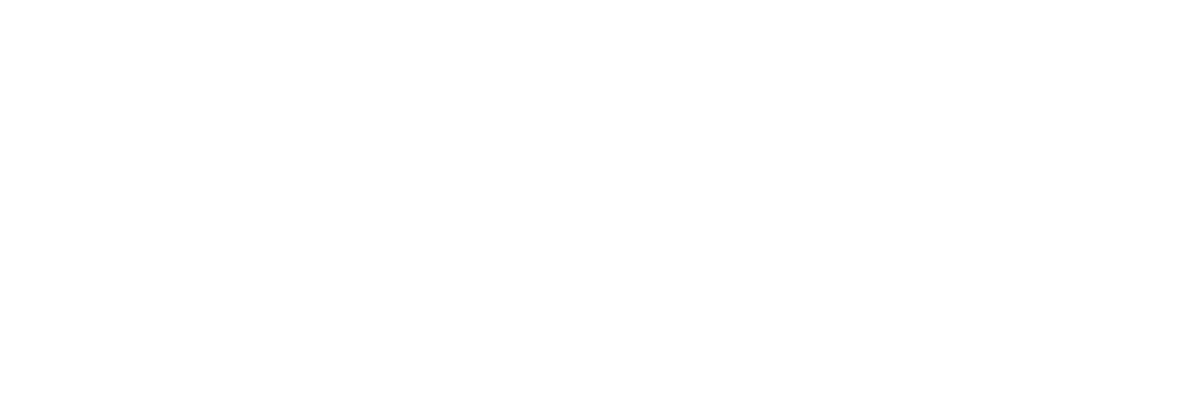 Boldbridge Logo Inline Rgb Reverse