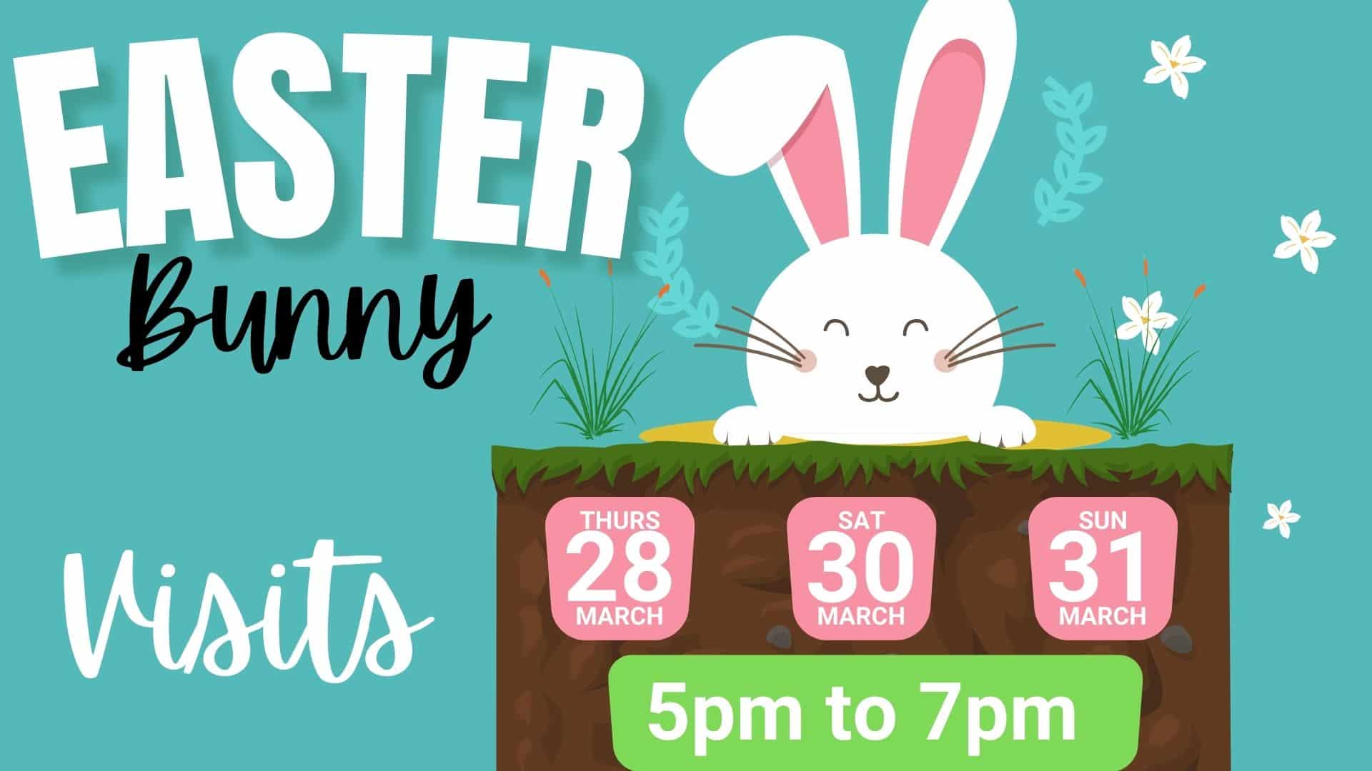 Easter Bunny @ Nambour Rsl Club (1920 X 1080 Px)
